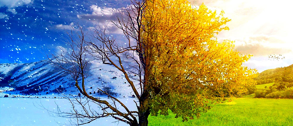 Your LifeAssist | Changing Seasons